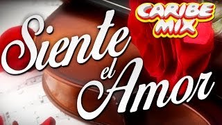 Quino Garcia Feat. Victor Martin, JM Castillo & Shandy Cardenas - Siente El Amor (Official Audio)