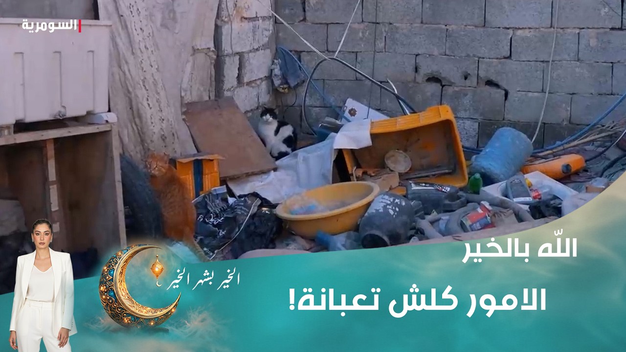 فيديو | الامور كلش تعبانة!