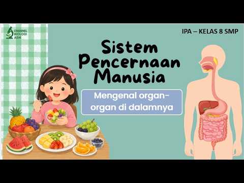 SISTEM PENCERNAAN - IPA KELAS 8 SMP