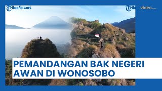 Menakjubkan! Punya Pemandangan Bak Negeri di Atas Awan, Tempat Wisata Ini Ternyata Ada di Wonosobo