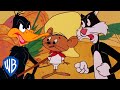 Looney Tunes | Best of Speedy Gonzales | Classic Cartoon Compilation | WB Kids