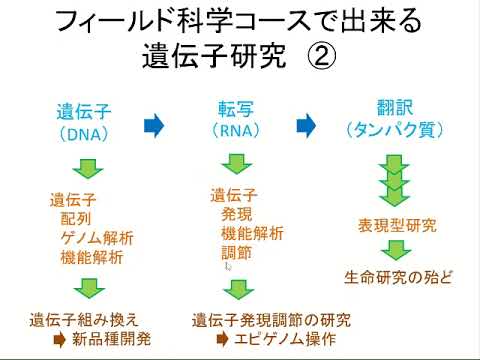遺伝子を調べてみようVol2