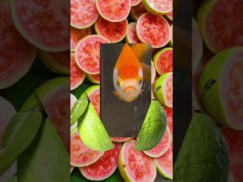 Guava slices #shortsvideo #shorts #viral #trending #tiktok #viralvideo #trendingshorts #tiktok