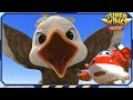 Superwings S7 Highlight Big Bird Bother And More Super Pet Adventures Ep 7 9