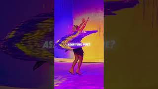 The Ultimate Cruise Ship Experience: Blades on Allure of the Seas #shorts