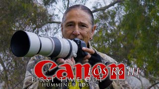 Canon R6III first time out - hummingbirds. My initial thoughts, rolling shutter and the buffer.....