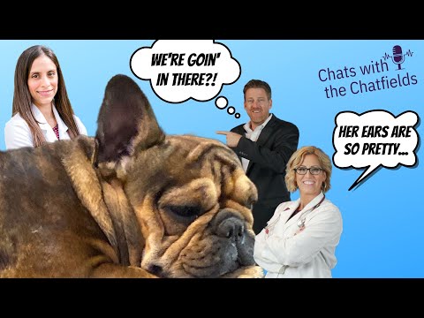 Ep 29: Holy otitis! Ear infections in pets!