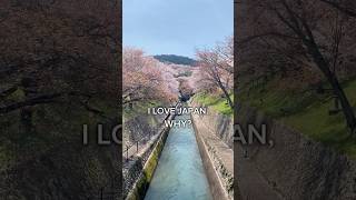 I love Japan, why?