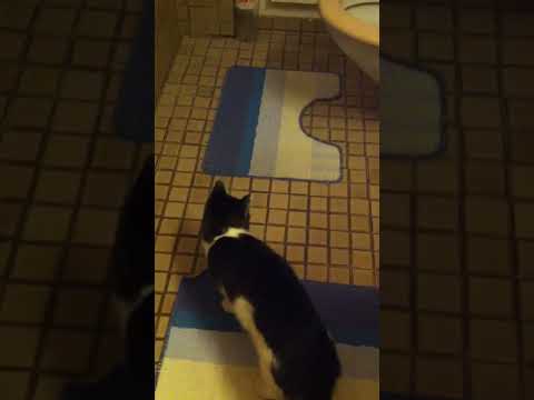 21033536 109350873131322 7112041744220291072 n