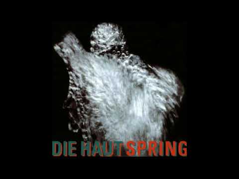 Die Haut - Cinema Excessiva (feat. Alex Hacke)