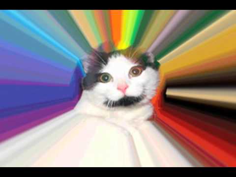 BIZZY BONE (Mix by DJ 1 Billionth, the DJ'ing cat)