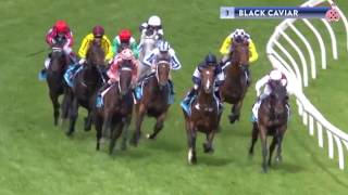 Greg Miles&#39; Greatest Ever Horse Race: The Doxa Racing Lunch 2017