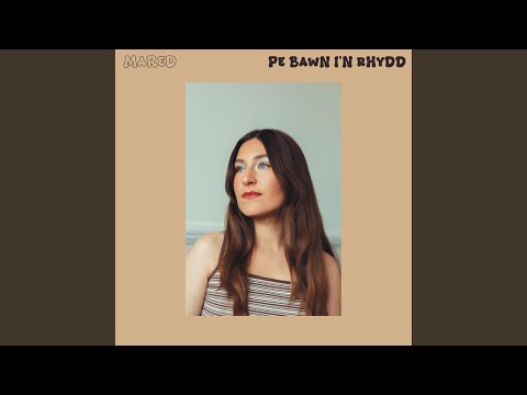 pe bawn i'n rhydd