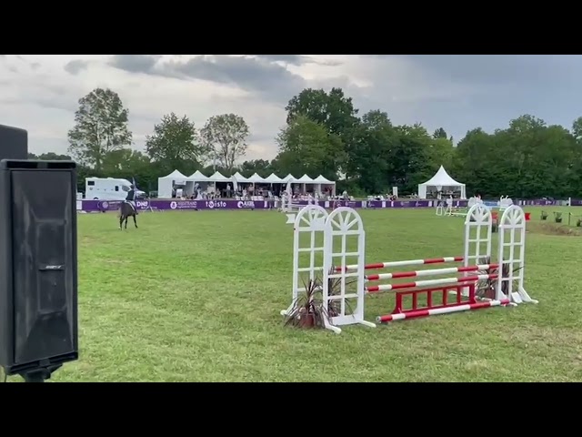 Jument Z &agrave; vendre 