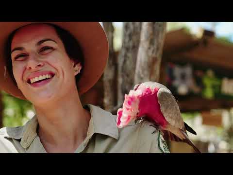 Billabong Sanctuary