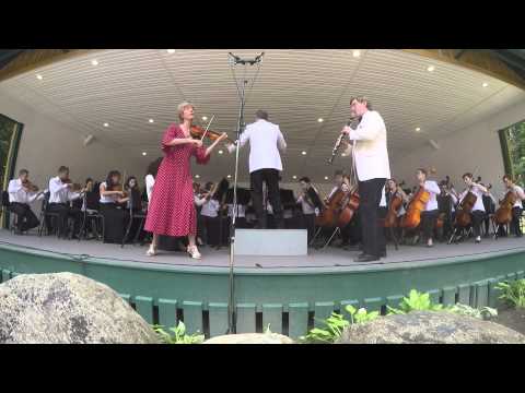 The LMC Symphony Orchestra - 