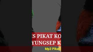 Download lagu Suara Pikat Konin Terbaru mp3 Download lagu Suara Pikat Konin Terbaru mp3