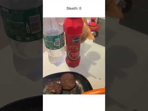 Un chat sournois tente de voler le steak dans l'assiette de son maître 🤣‍⬛