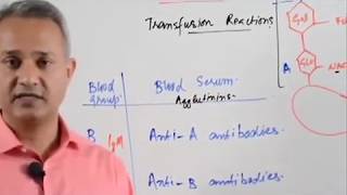 Blood Typing and Agglutination Reactions