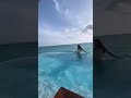 Andrea Jeremiah Go To Swimming At Awesome Swimming Pool Really Awesome Location