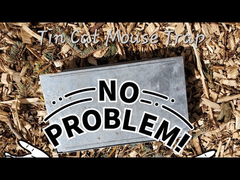 Mouse problems? Tin Cat 🐈 trap & how we use it. ⚠️ You may not like it.