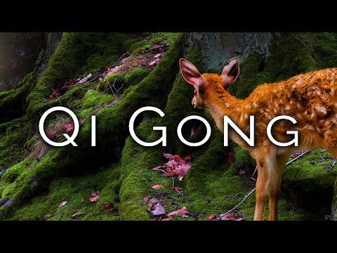 1159-IT Francesca, Qi Gong - Ipnosi Esoterica ∞ Lucio Carsi