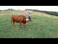 Great American Farm Tour ~ Official Trailer