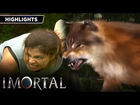 Lia eventually manages to become a full wolf | Imortal