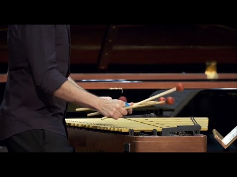 Steve Reich "Quartet" with Simone Rubino SRV1 #mallets by APinstrument