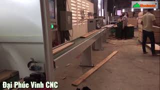 Máy cắt phôi thô (cắt vạch phấn) trong nhà máy chế biến gỗ xuất khẩu | WM-S260