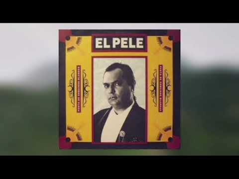 El Pele & Vicente Amigo - Tardes Grises