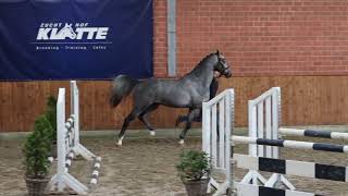 Video di URMEL JUNIOR