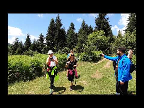 Mountainous Naufapktia. Hiking through the woods of Central Greece