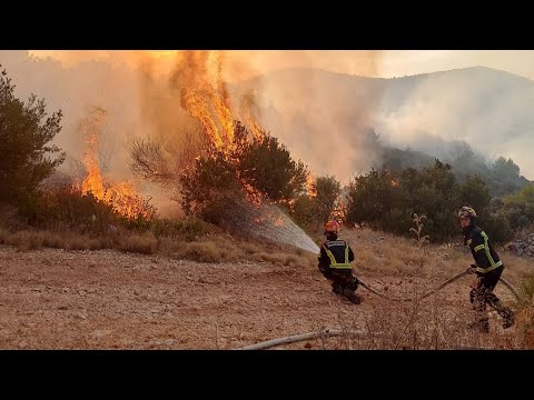 Požar na području Vrsina i Segeta Gornjeg