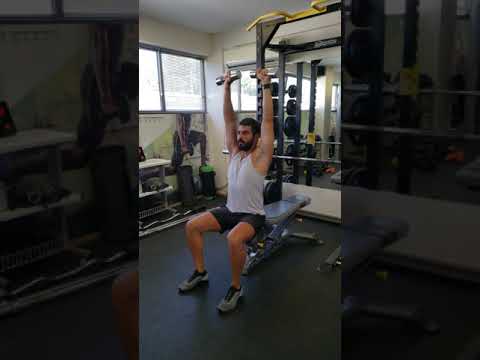 P3 W4 ex7 Seated dumbbell Arnold Press