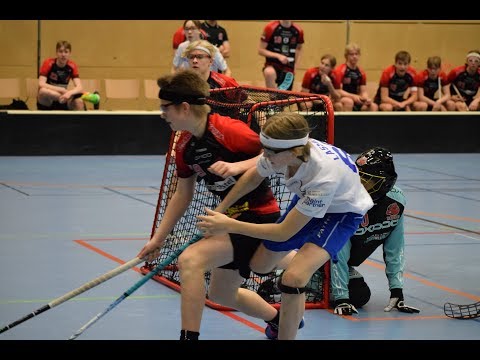 8.3.2020 SPV - Nibacos