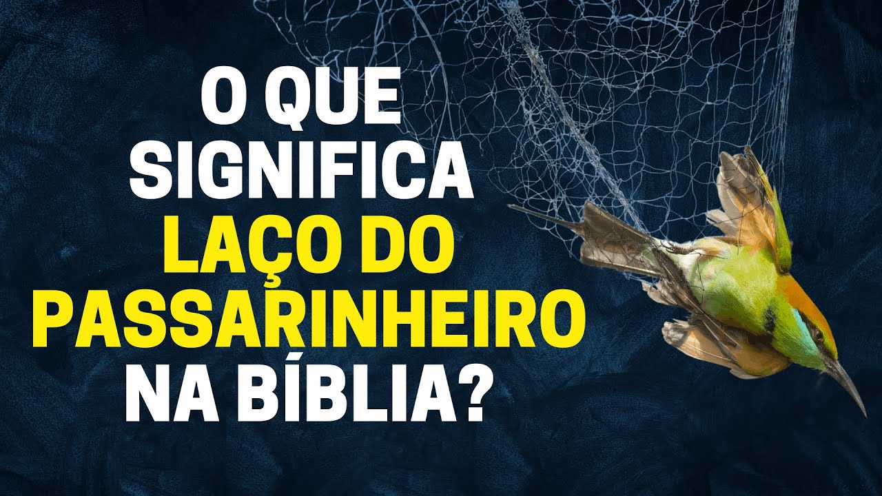 O QUE É O LAÇO DO PASSARINHEIRO NA BÍBLIA? CONHEÇA O SIGNIFICADO BÍBLICO DO LAÇO