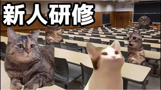 【猫ミーム】初めての新人研修！？入社一カ月で辞めるの？！葬儀社にアルバイトとして勤めていたお話その61