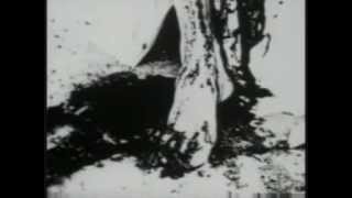 Shining - Ännu Ett Steg Närmare Total Utfrysning.wmv