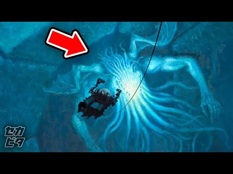 深海の謎の生物たち