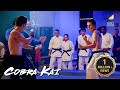 Fight Among Dojos Cobra Kai
