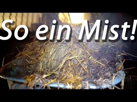 Verrückte Dorfjugend - Misthaufen für Frauen