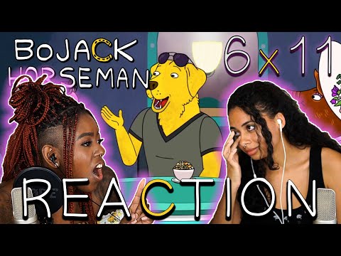 BoJack Horseman 6x11 - "Sunk Cost and All That" REACTION!!