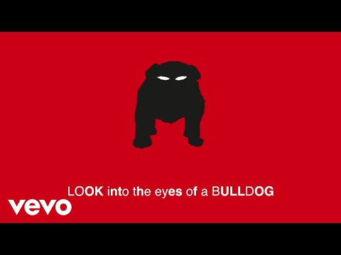 Video thumbnail for Bulldog