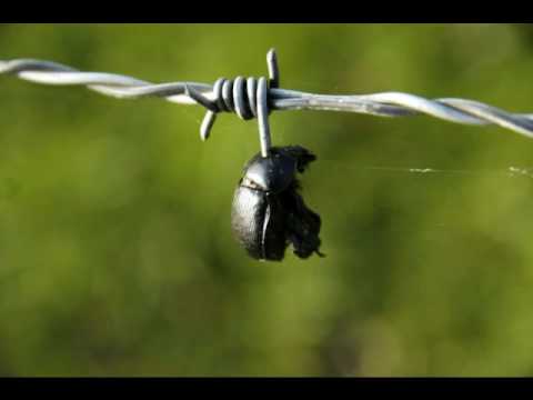 Mathias Mesteno - Inbetween