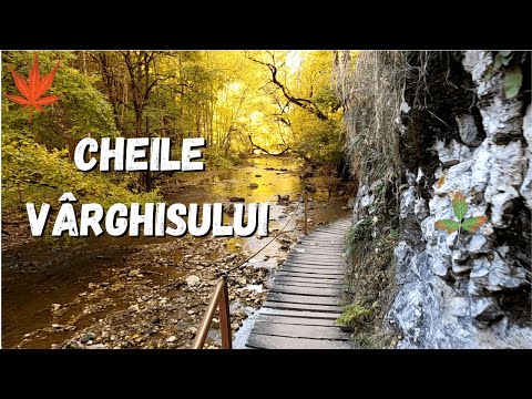 Drumeție în Cheile Vârghișului. Cheile Vârghișului toamna.