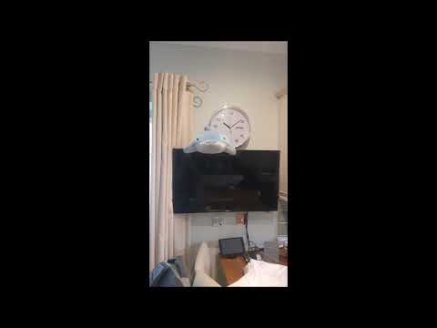 Andy Morris featuring Dan Howe - Conditioned