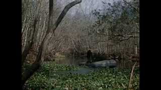 The Forgotten Mermaids - The Undersea World of Jacques Cousteau