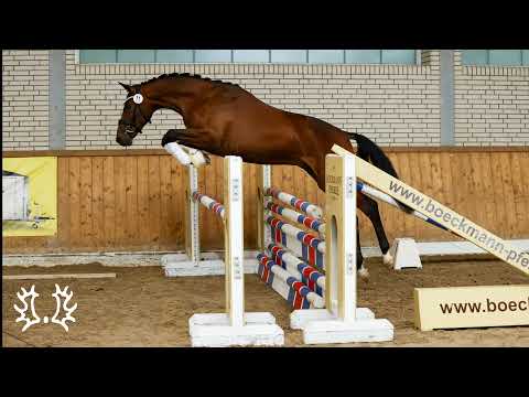 Kat. Nr. 5 - "Dreivierteltakt" v. Kentucky - Gribaldi *2019