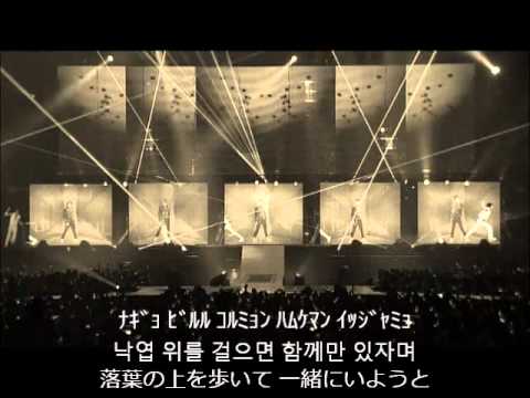 JYJ -FALLEN LEAVES-